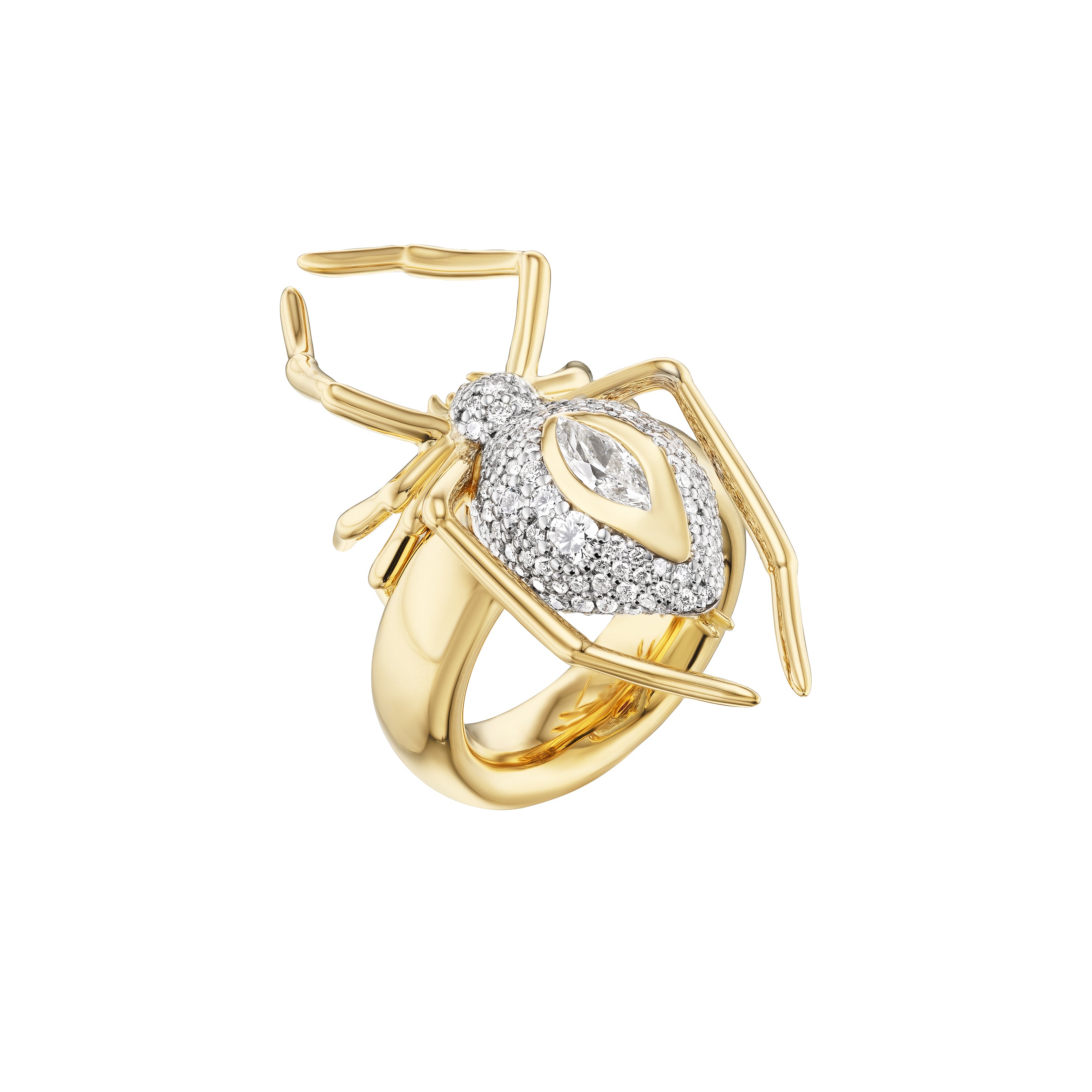 SPIDER RING