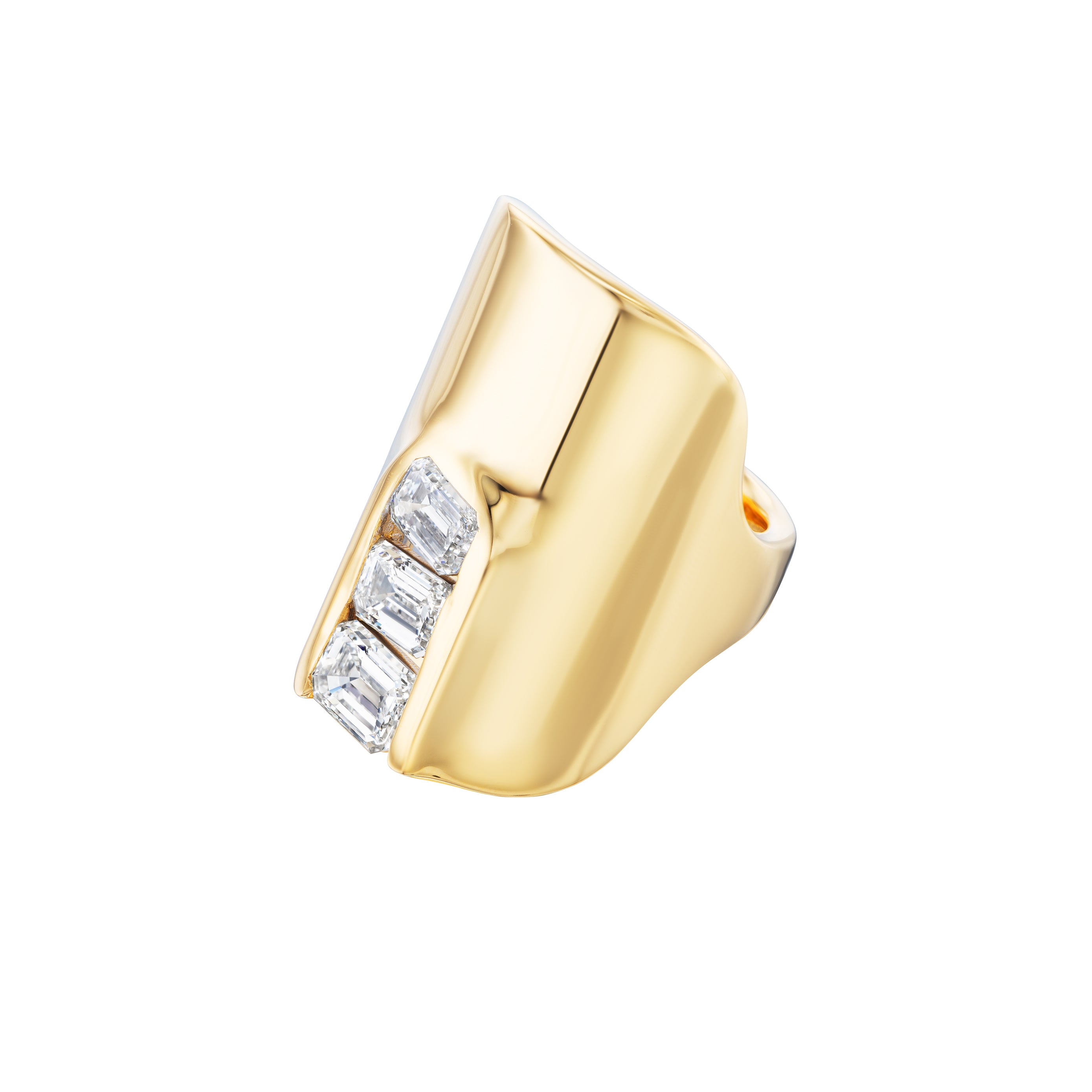 SHIELD RING
