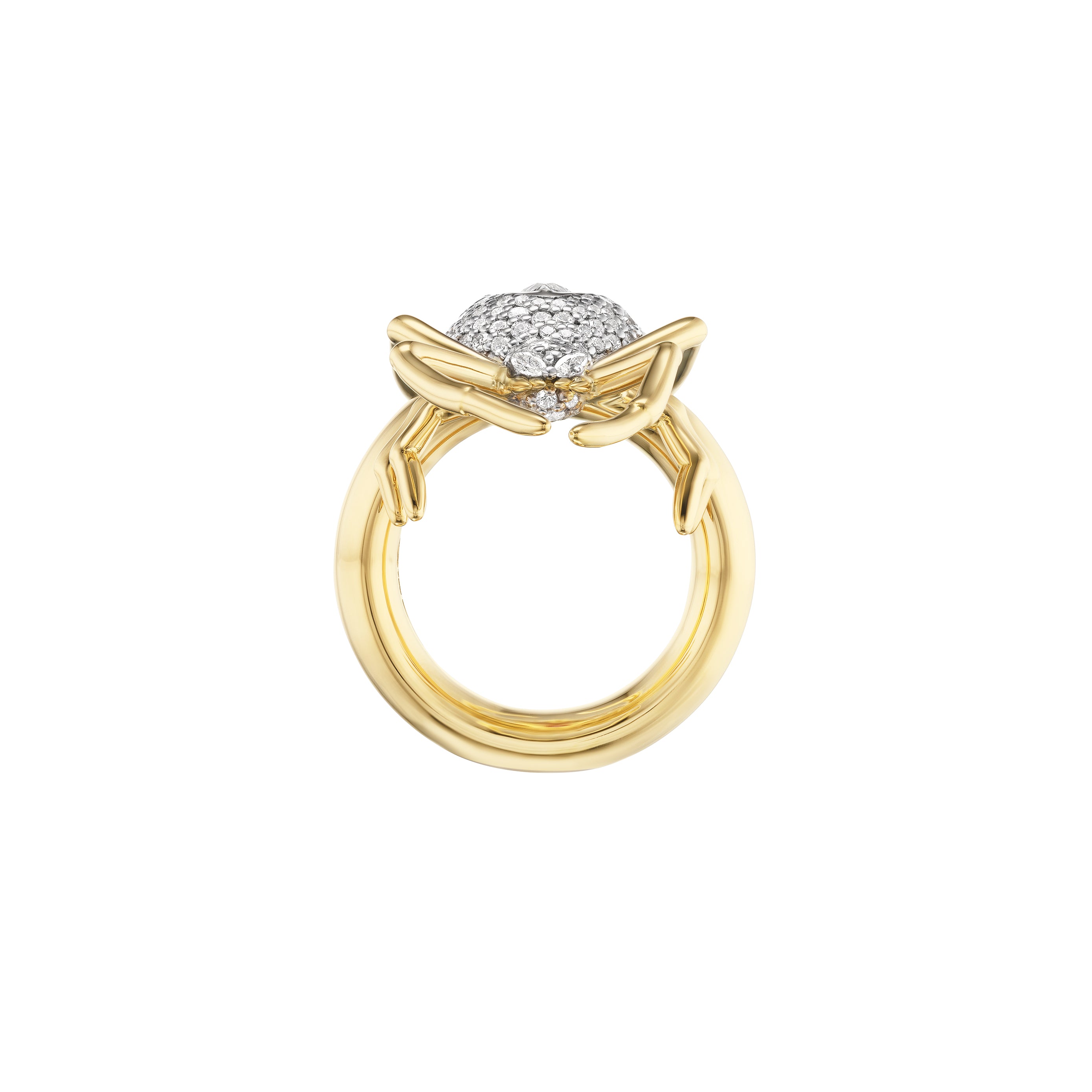 SPIDER RING